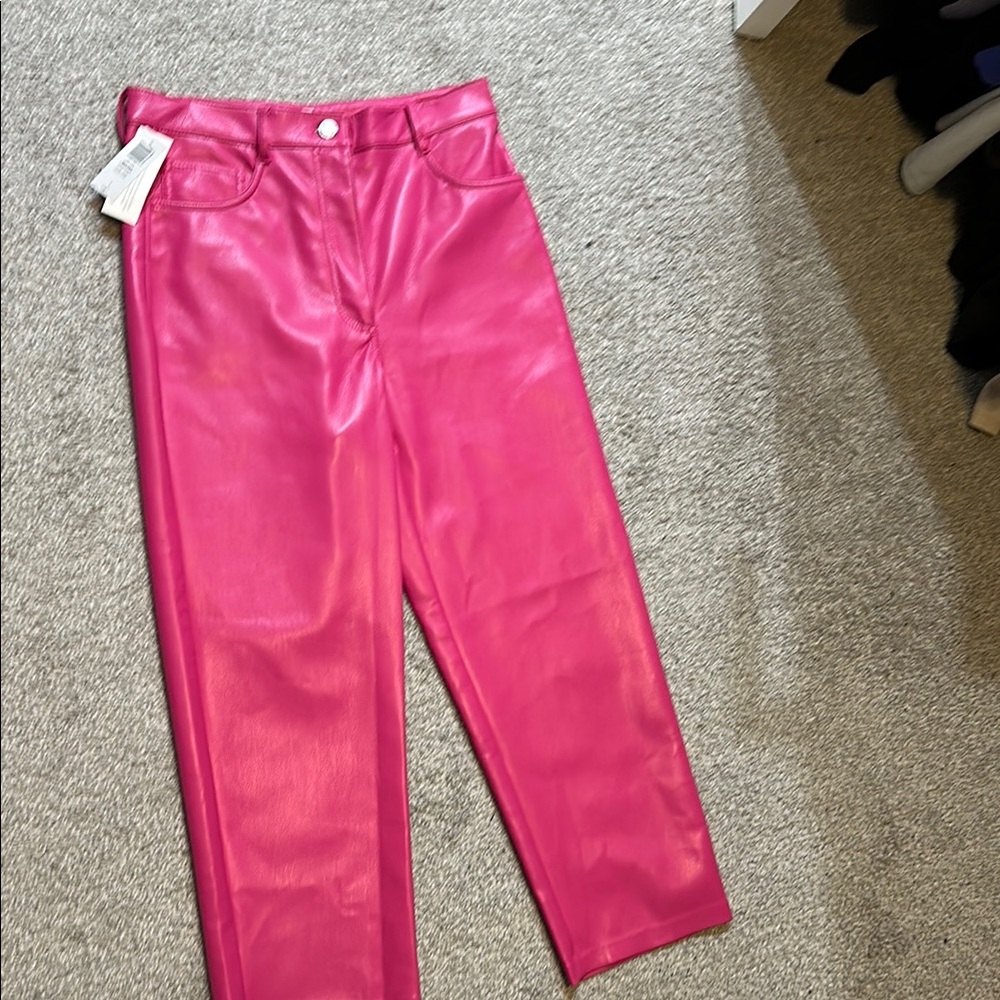 Aritzia Wilfred Pink Pants